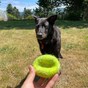 Meet your Posher, Katrina